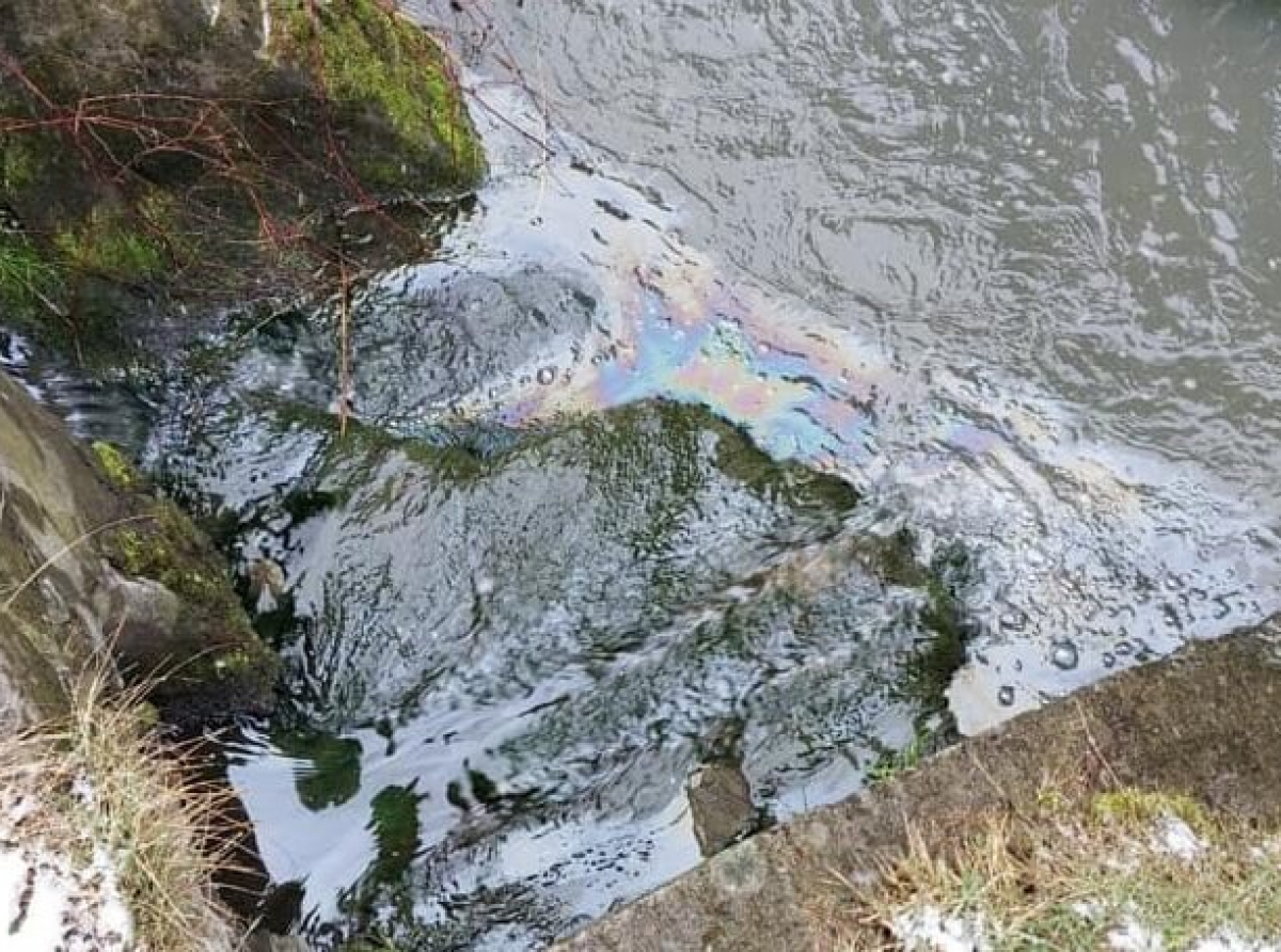 Żywiec-Zabłocie: kolejne zanieczyszczenie potoku Sienka