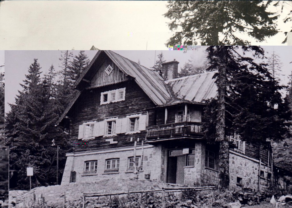 Schronisko na Lipowskiej - lata 70-te