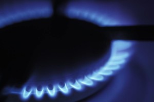 Blue gas flames from a cooker hob